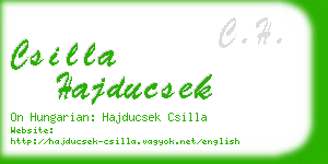 csilla hajducsek business card